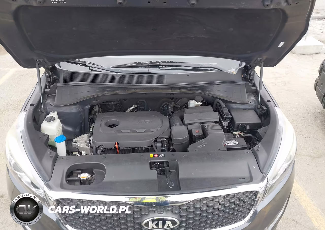 2016 Kia Sorento 2.4L Lx VIN:5XYPG4A35GG162415 - 10