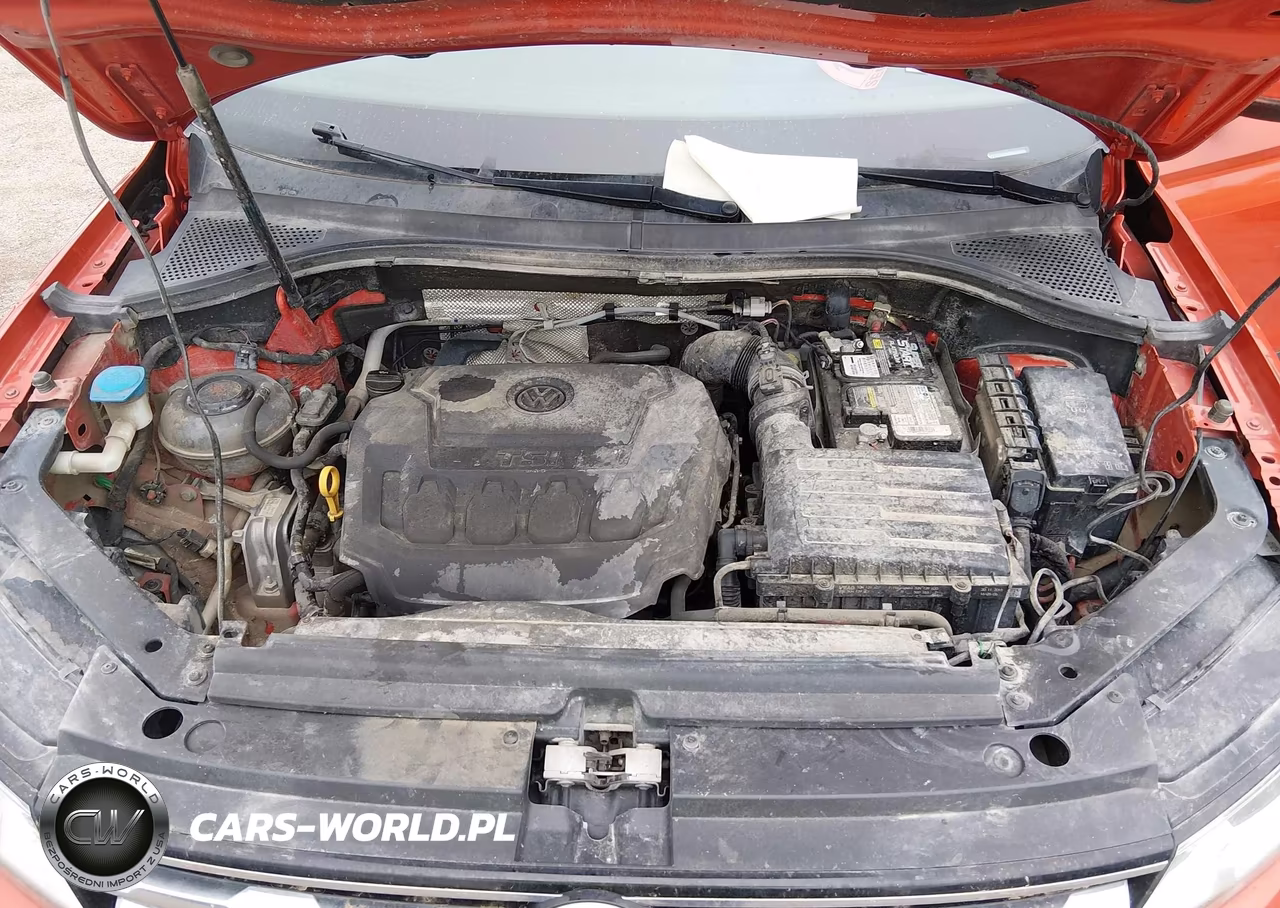 2019 Volkswagen Tiguan 2.0T S VIN:3VV1B7AX9KM054594 - 10