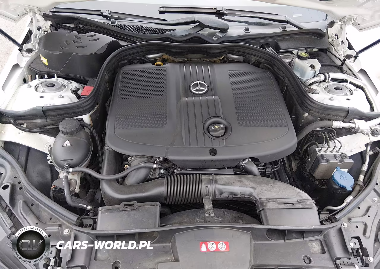 2014 Mercedes-Benz E 250 Bluetec VIN:WDDHF0EB5EA960353 - 10