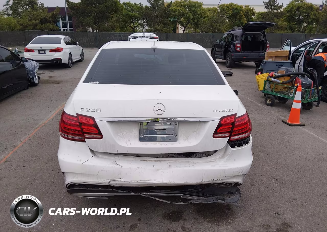 2014 Mercedes-Benz E 250 Bluetec VIN:WDDHF0EB5EA960353 - 16