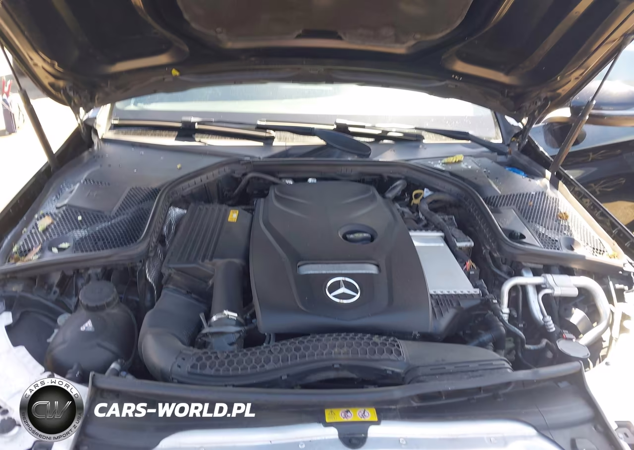 2018 Mercedes-Benz C 300 VIN:55SWF4JB8JU247722 - 10