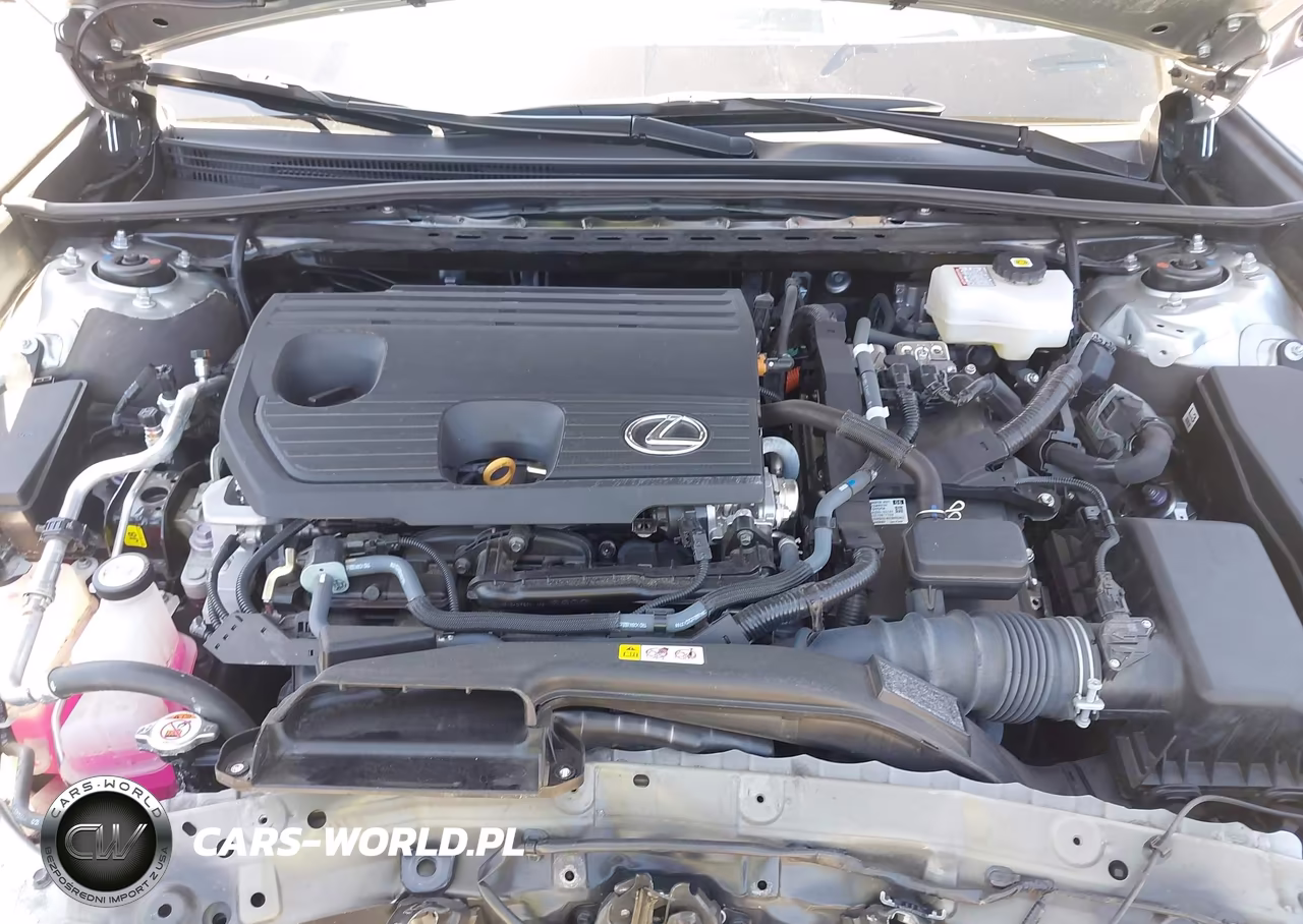 2024 Lexus Es 300H VIN:58ADA1C18RU042886 - 10