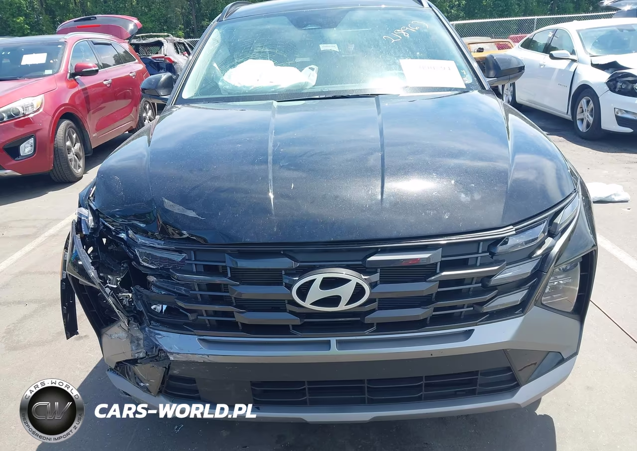 2025 Hyundai Tucson Sel VIN:5NMJB3DEXSH603689 - 12