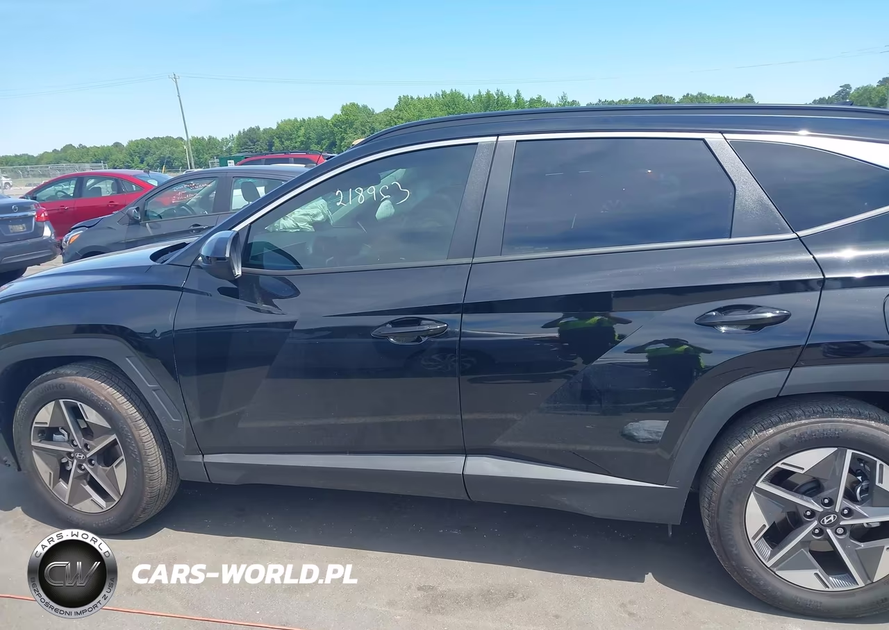 2025 Hyundai Tucson Sel VIN:5NMJB3DEXSH603689 - 14