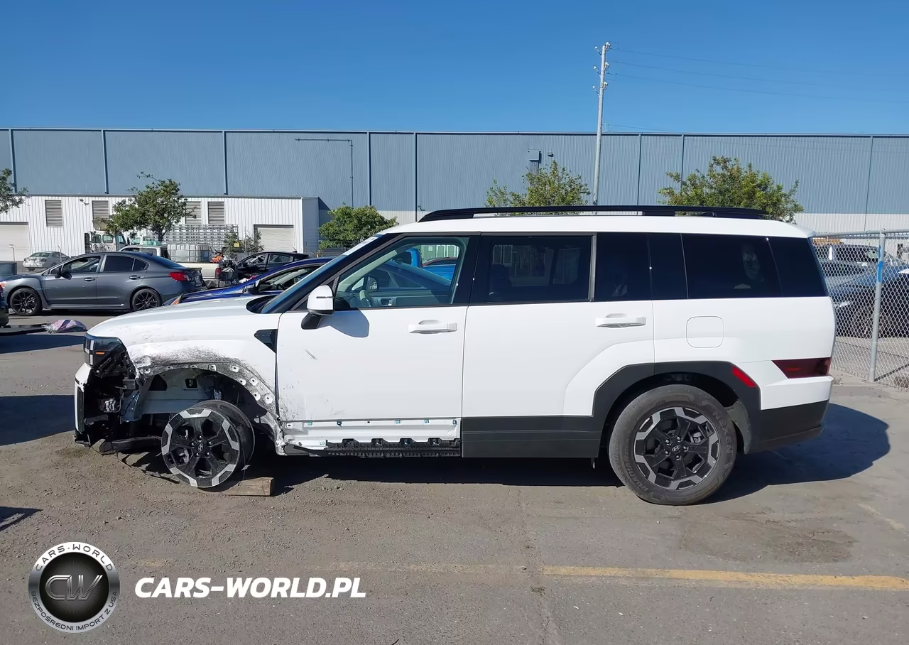 2025 Hyundai Santa Fe Sel VIN:5NMP24GL5SH138894 - 13