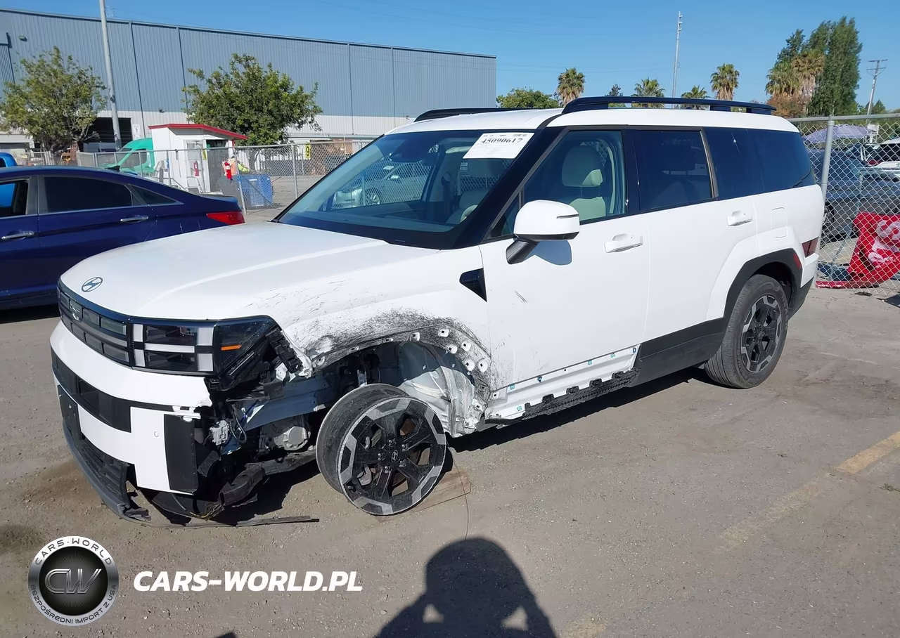 2025 Hyundai Santa Fe Sel VIN:5NMP24GL5SH138894 - 2