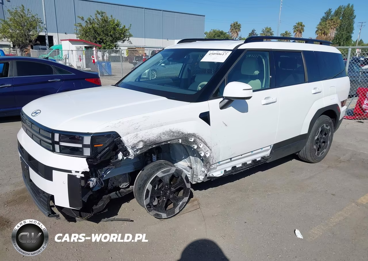 2025 Hyundai Santa Fe Sel VIN:5NMP24GL5SH138894 - 6