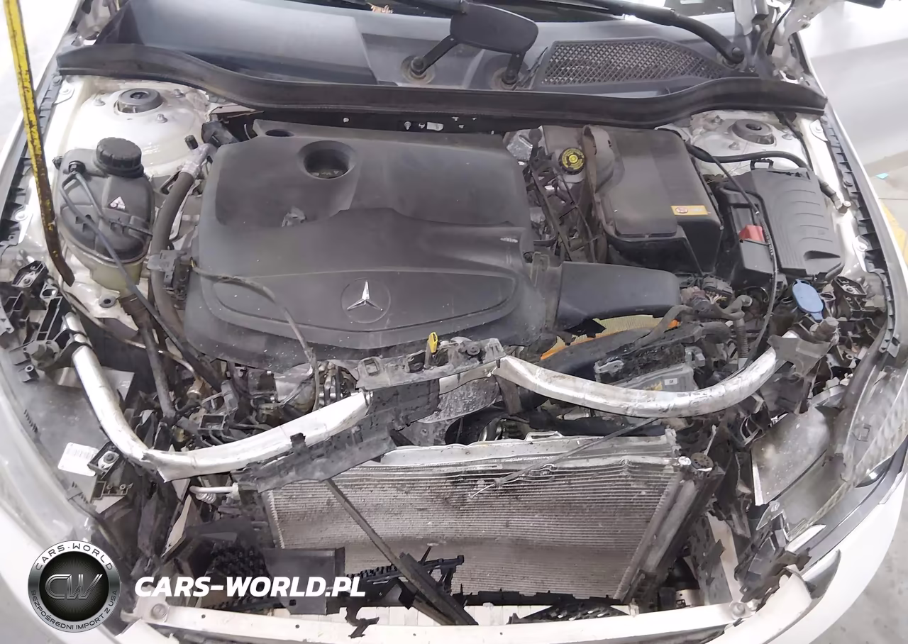2015 Mercedes-Benz Cla 250 VIN:WDDSJ4EB4FN194265 - 10