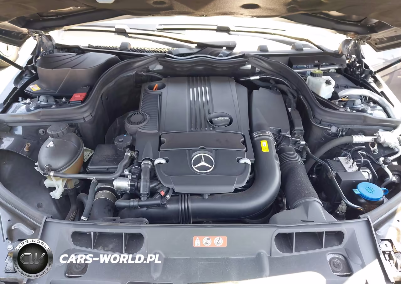 2015 Mercedes-Benz C 250 VIN:WDDGJ4HB7FG375544 - 10