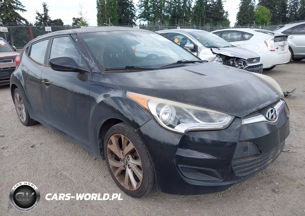 Główne zdjęcie 2016 Hyundai Veloster