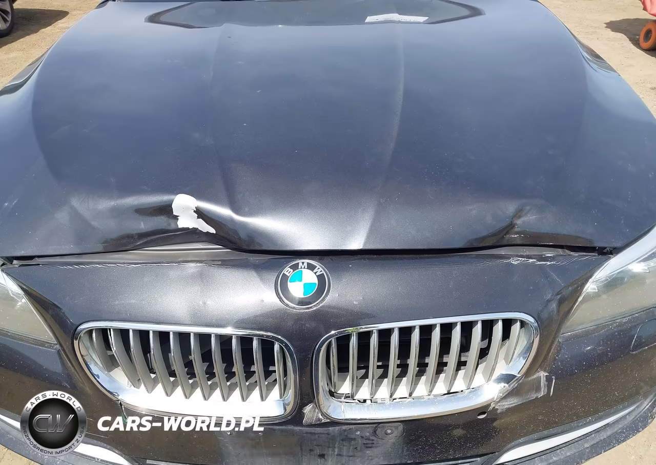 2014 BMW 528I VIN:WBA5A5C56ED511779 - 6