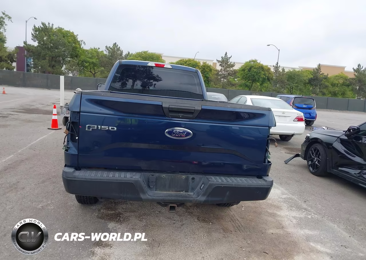 2016 Ford F-150 Xl VIN:1FTEX1CPXGKE98593 - 17