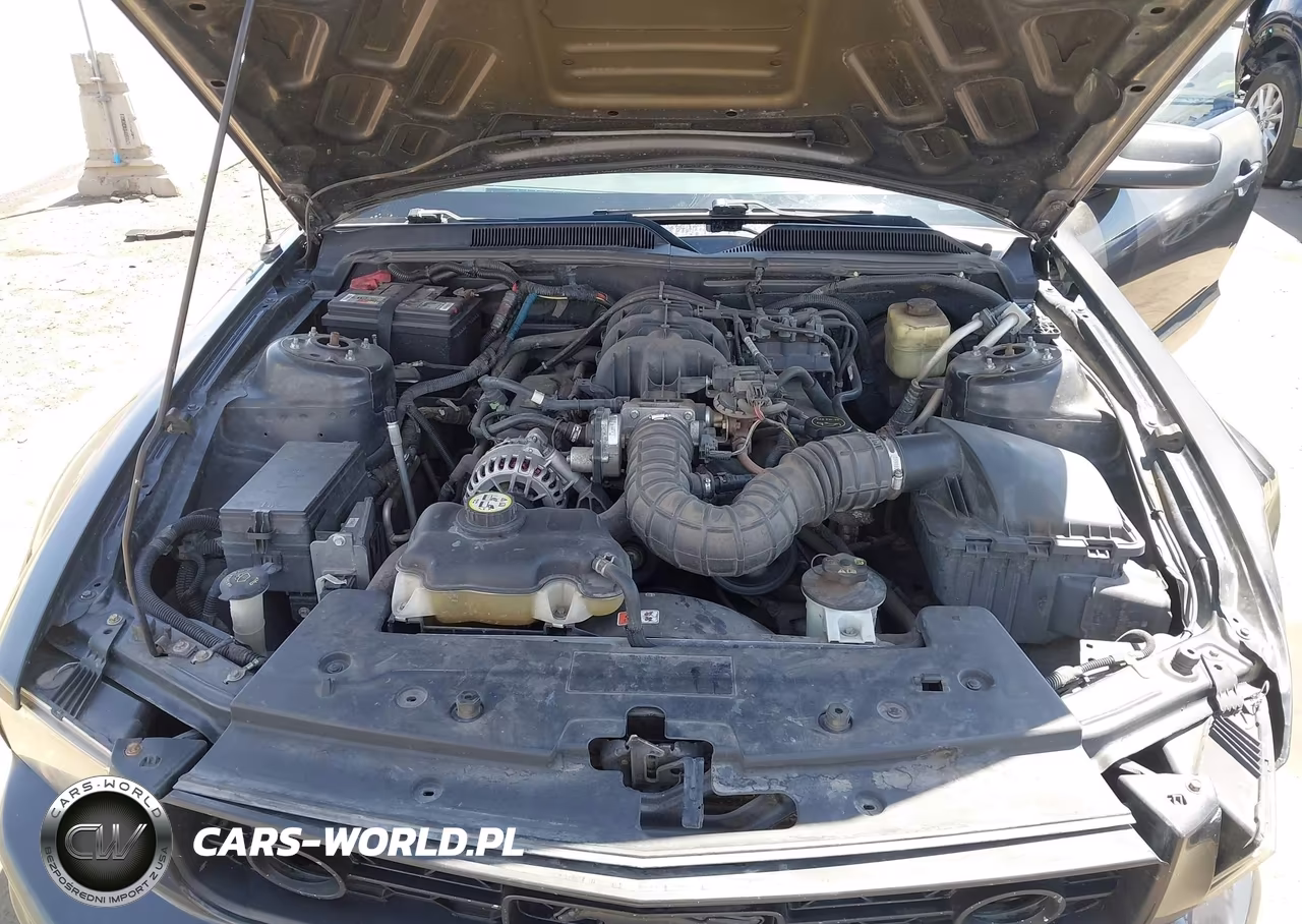2008 Ford Mustang V6 Deluxe-V6 Premium VIN:1ZVHT80N885196138 - 10