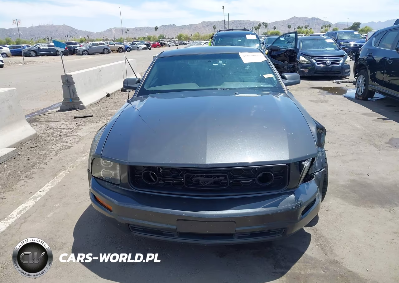 2008 Ford Mustang V6 Deluxe-V6 Premium VIN:1ZVHT80N885196138 - 12