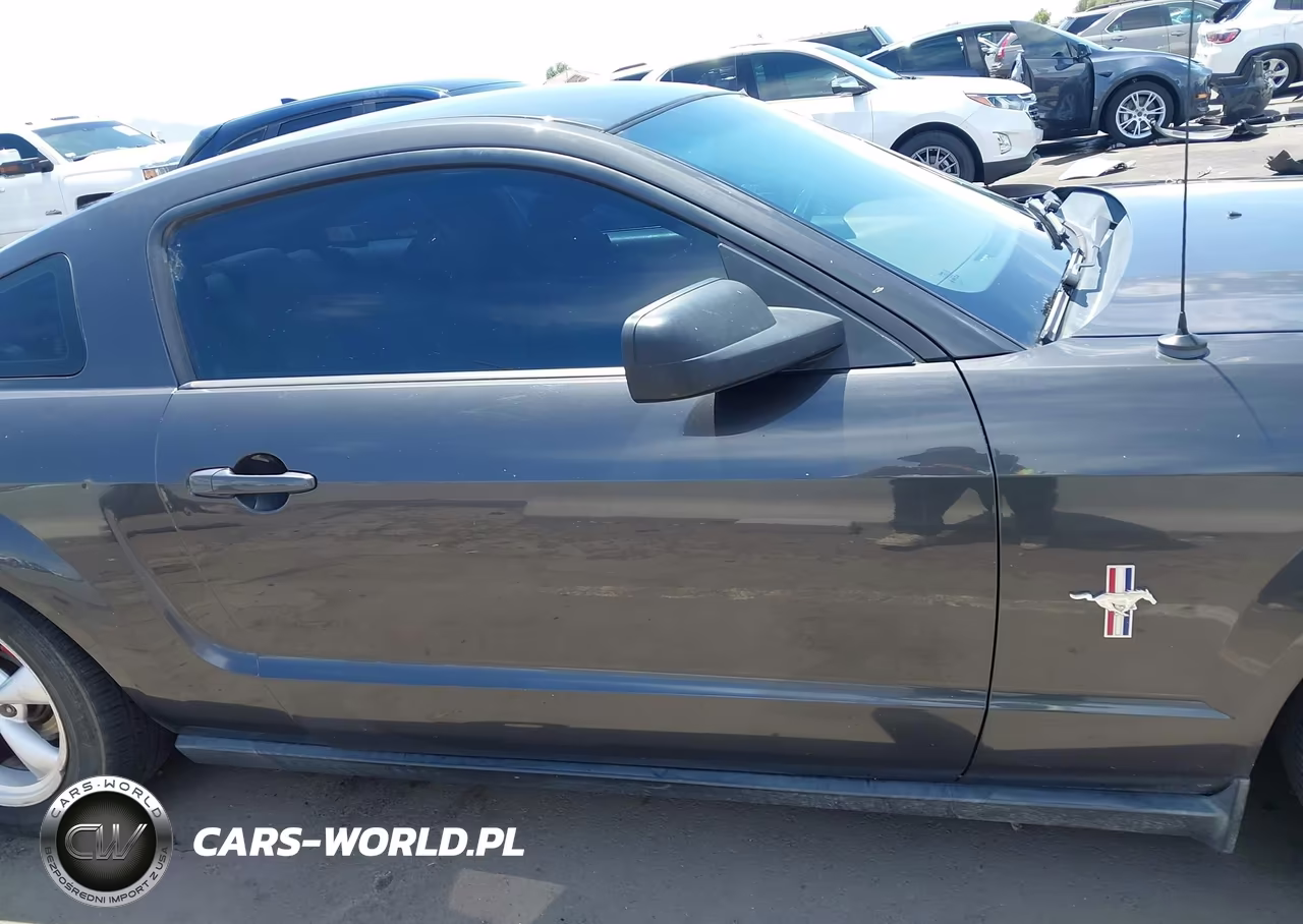 2008 Ford Mustang V6 Deluxe-V6 Premium VIN:1ZVHT80N885196138 - 13