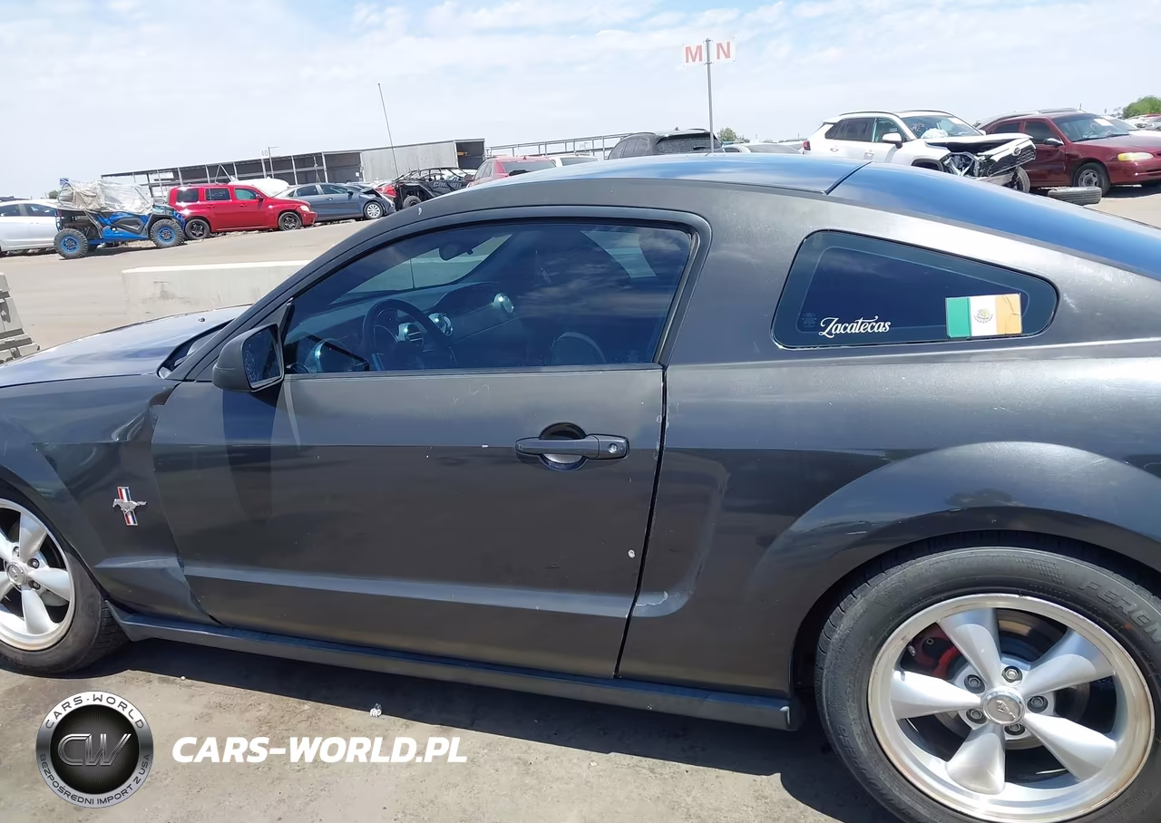 2008 Ford Mustang V6 Deluxe-V6 Premium VIN:1ZVHT80N885196138 - 14
