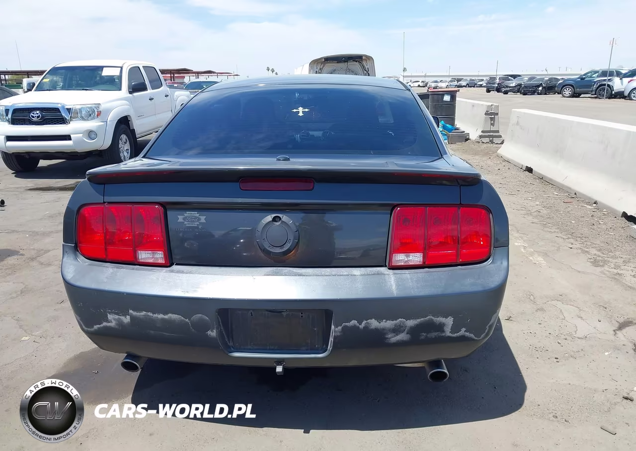 2008 Ford Mustang V6 Deluxe-V6 Premium VIN:1ZVHT80N885196138 - 16