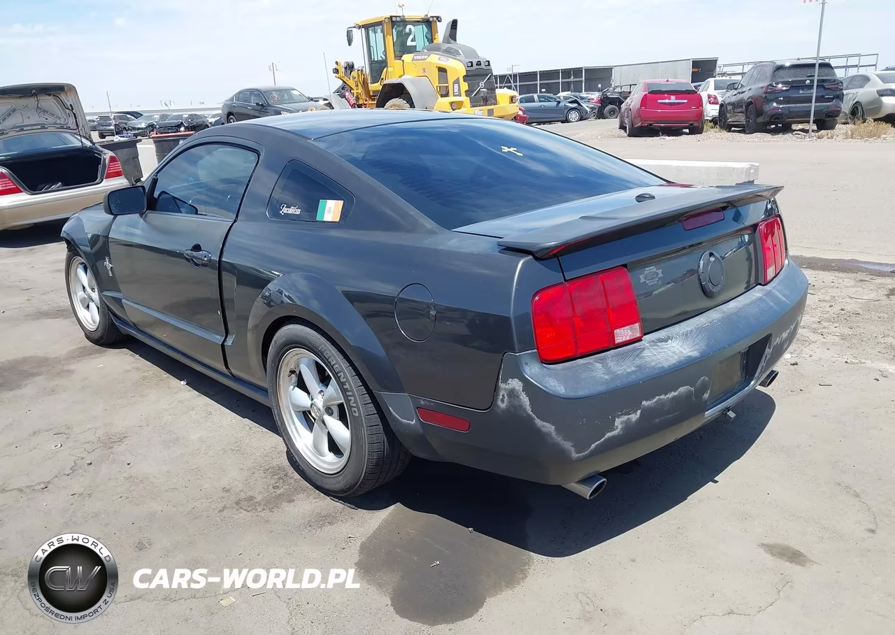 2008 Ford Mustang V6 Deluxe-V6 Premium VIN:1ZVHT80N885196138 - 3