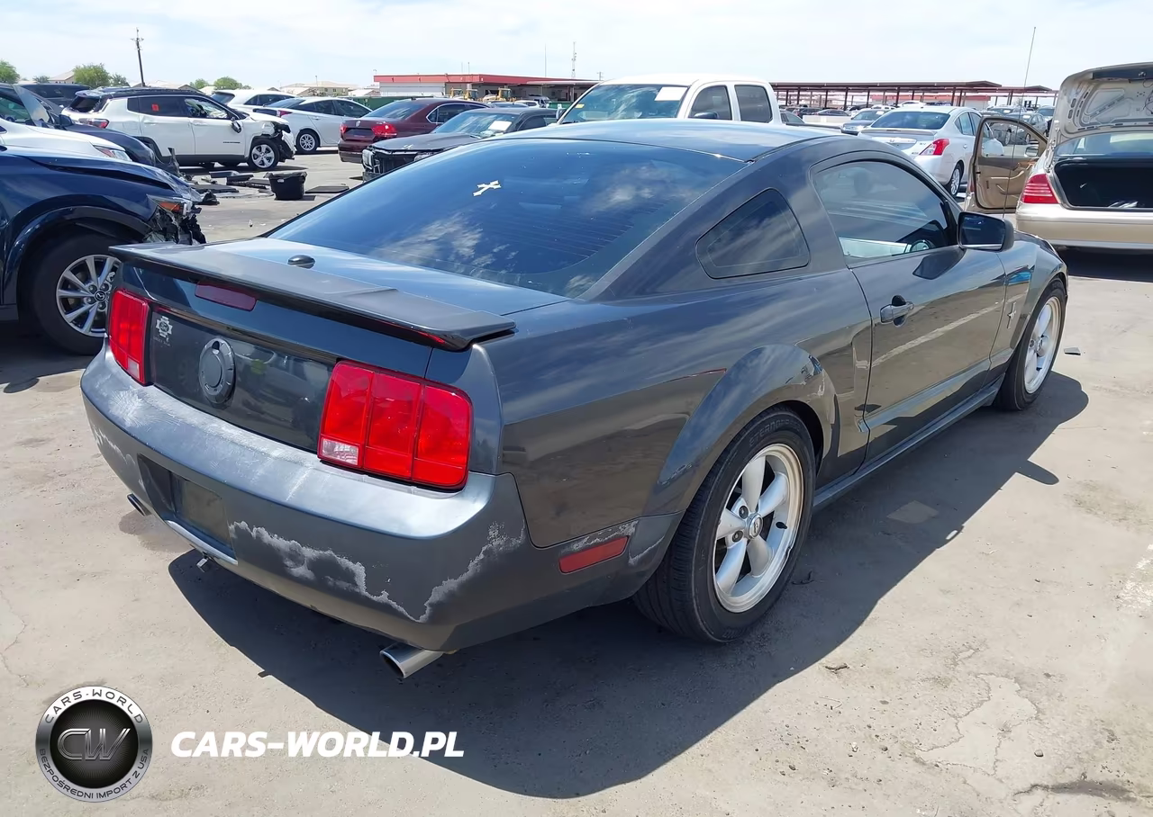 2008 Ford Mustang V6 Deluxe-V6 Premium VIN:1ZVHT80N885196138 - 4