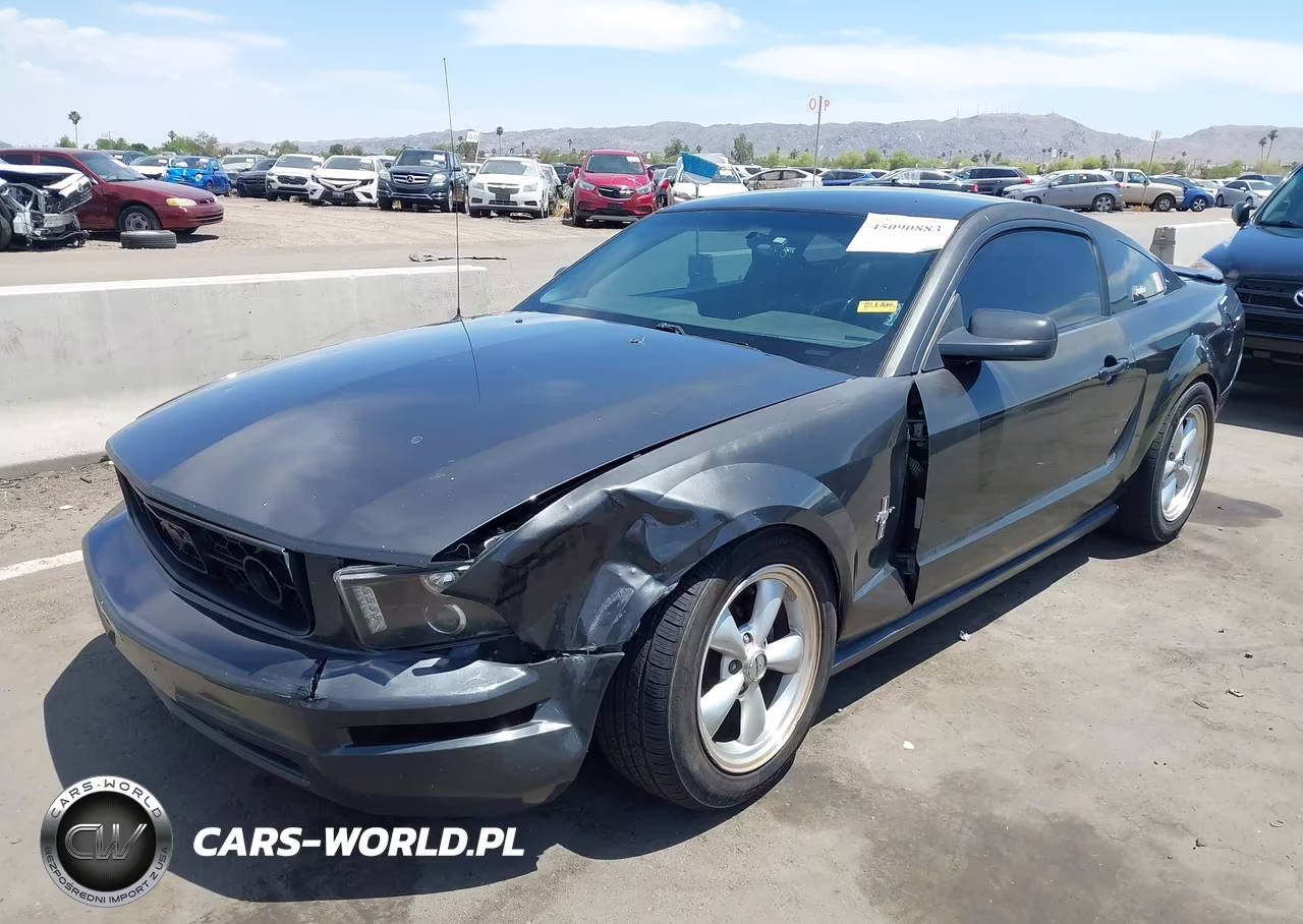 2008 Ford Mustang V6 Deluxe-V6 Premium VIN:1ZVHT80N885196138 - 6
