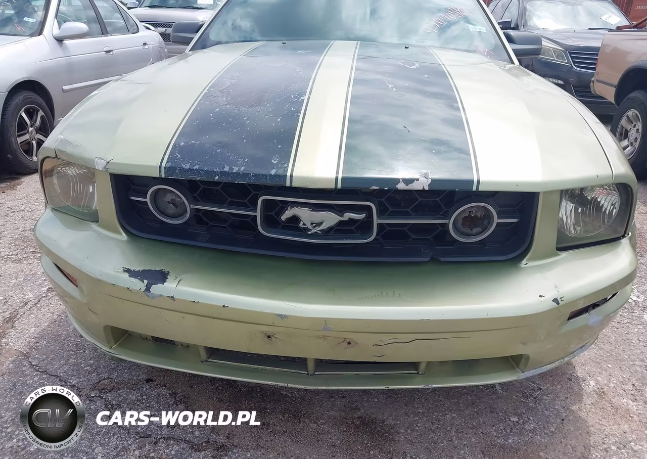 2006 Ford Mustang V6 VIN:1ZVFT80N065238306 - 12