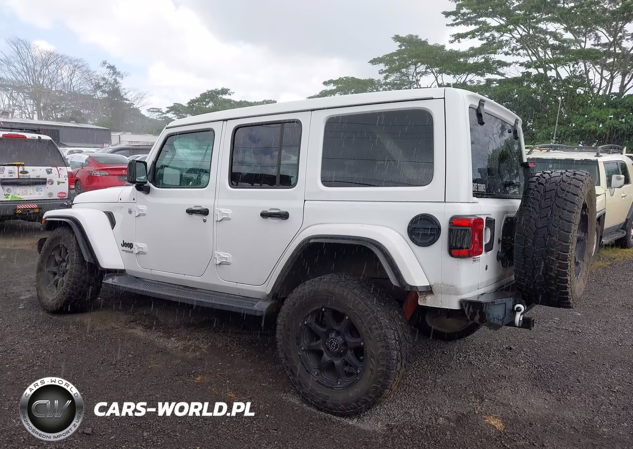 2019 Jeep Wrangler Unlimited Sahara Altitude 4X4 VIN:1C4HJXEG8KW675299 - 3