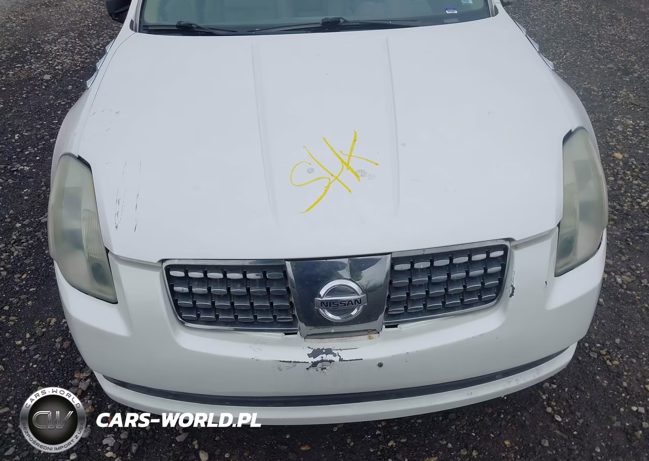 2004 Nissan Maxima 3.5 Se VIN:1N4BA41E44C859271 - 10