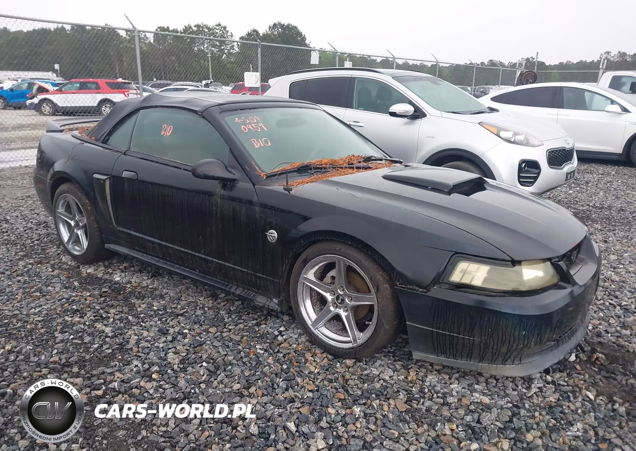 Główne zdjęcie 2004 Ford Mustang Gt