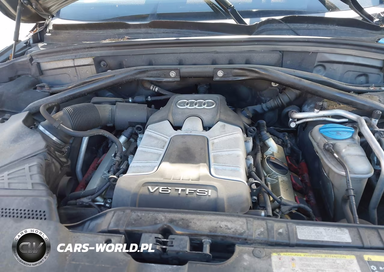 2013 Audi Q5 3.0T Premium Plus VIN:WA1DGAFP5DA023257 - 10