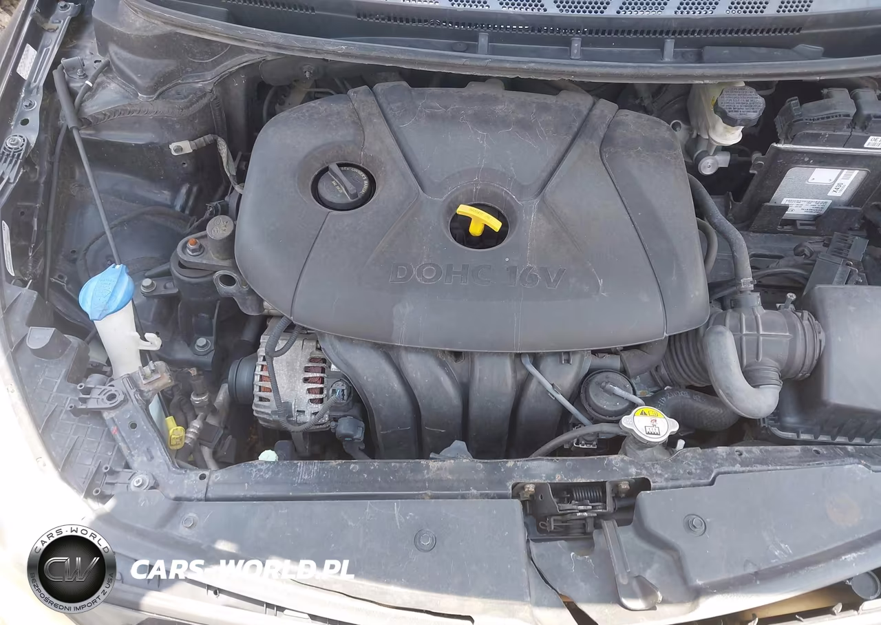 2015 Kia Forte Lx VIN:KNAFX4A6XF5411592 - 10
