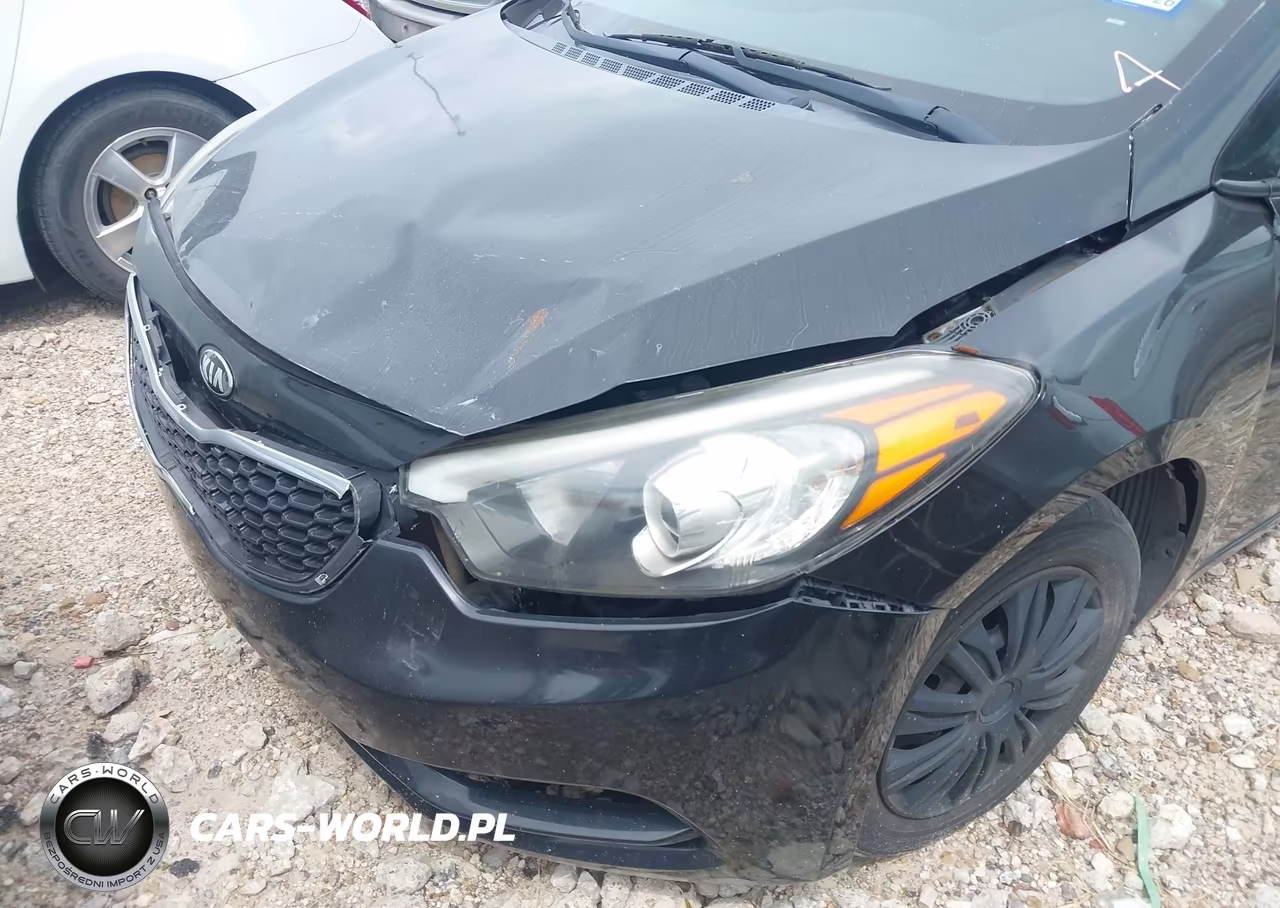 2015 Kia Forte Lx VIN:KNAFX4A6XF5411592 - 12