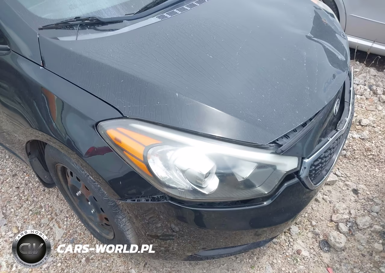 2015 Kia Forte Lx VIN:KNAFX4A6XF5411592 - 13