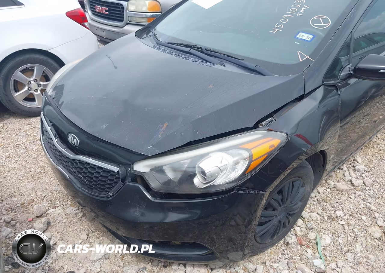 2015 Kia Forte Lx VIN:KNAFX4A6XF5411592 - 6