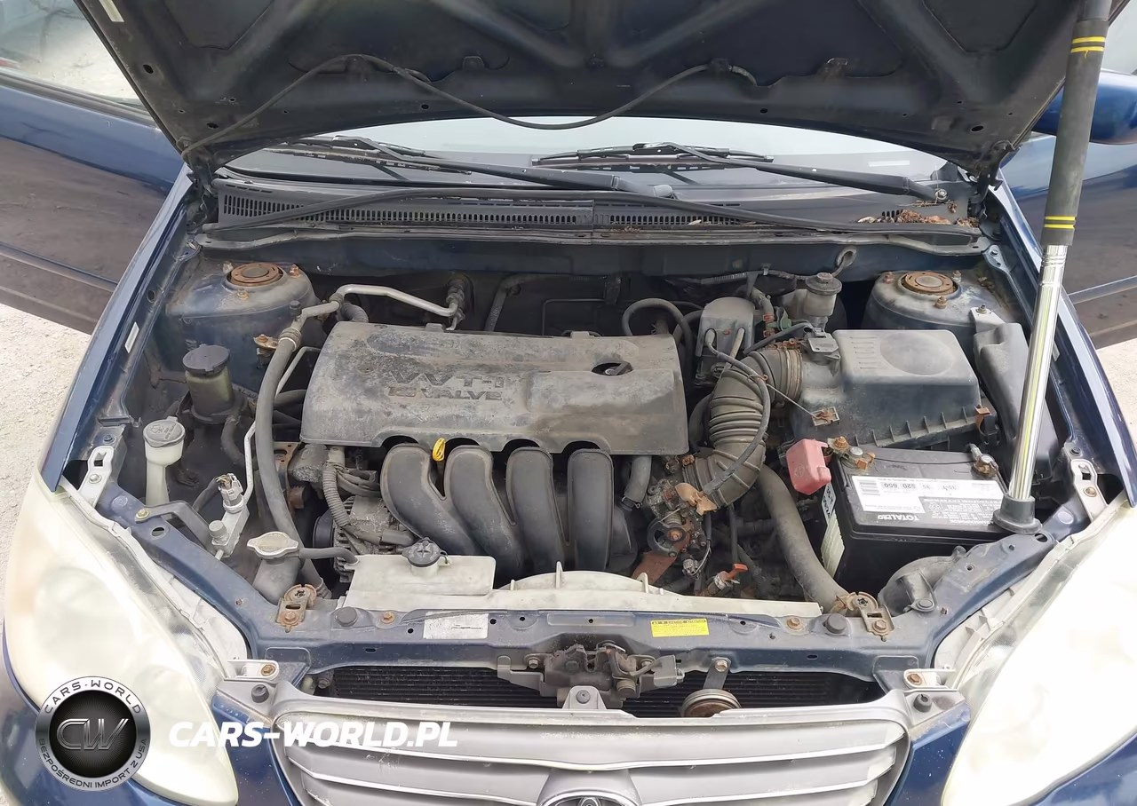 2003 Toyota Corolla Le VIN:1NXBR32E23Z029419 - 10