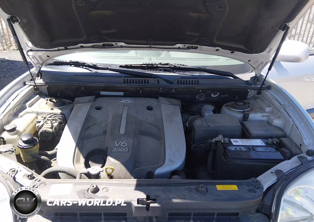 2005 Hyundai Santa Fe Gls-Lx VIN:KM8SC73E35U956889 - 10