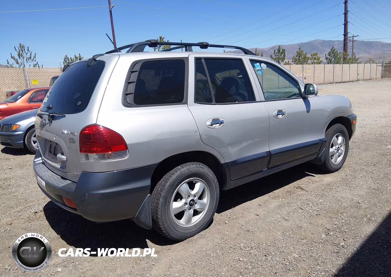 2005 Hyundai Santa Fe Gls-Lx VIN:KM8SC73E35U956889 - 4