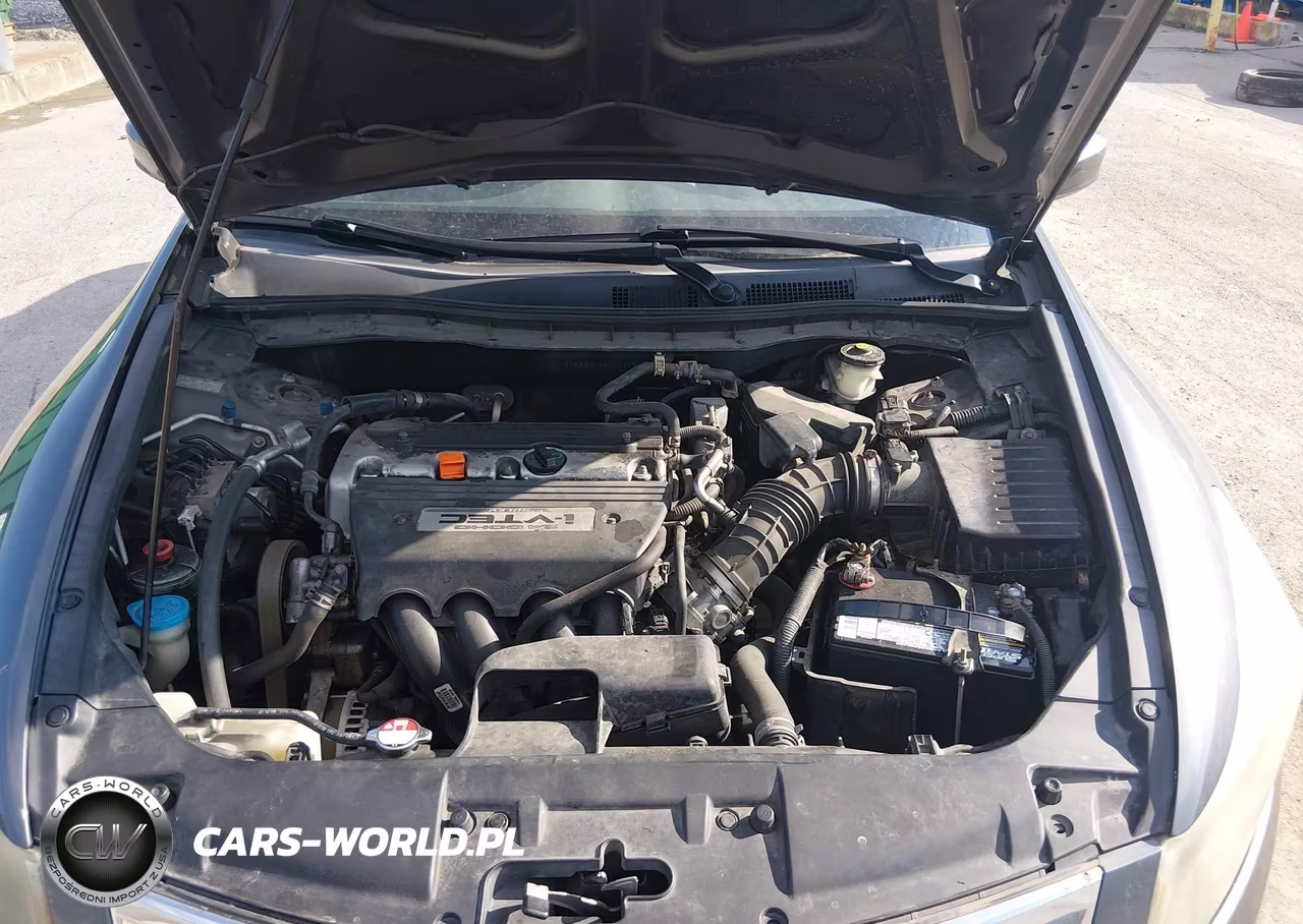 2009 Honda Accord 2.4 Lx VIN:1HGCP26319A173377 - 10