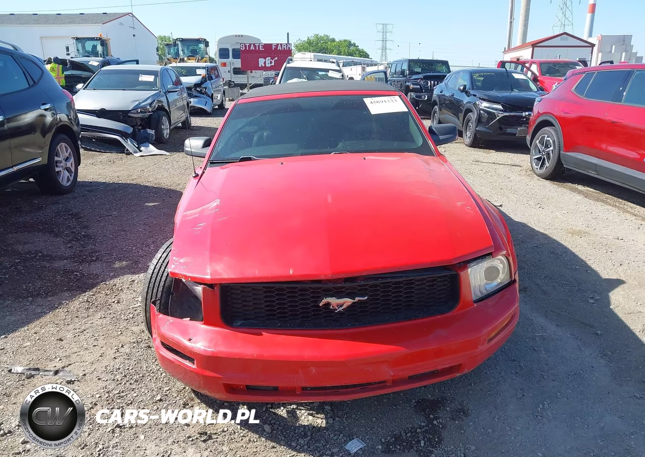 2005 Ford Mustang VIN:1ZVFT84N555211658 - 12