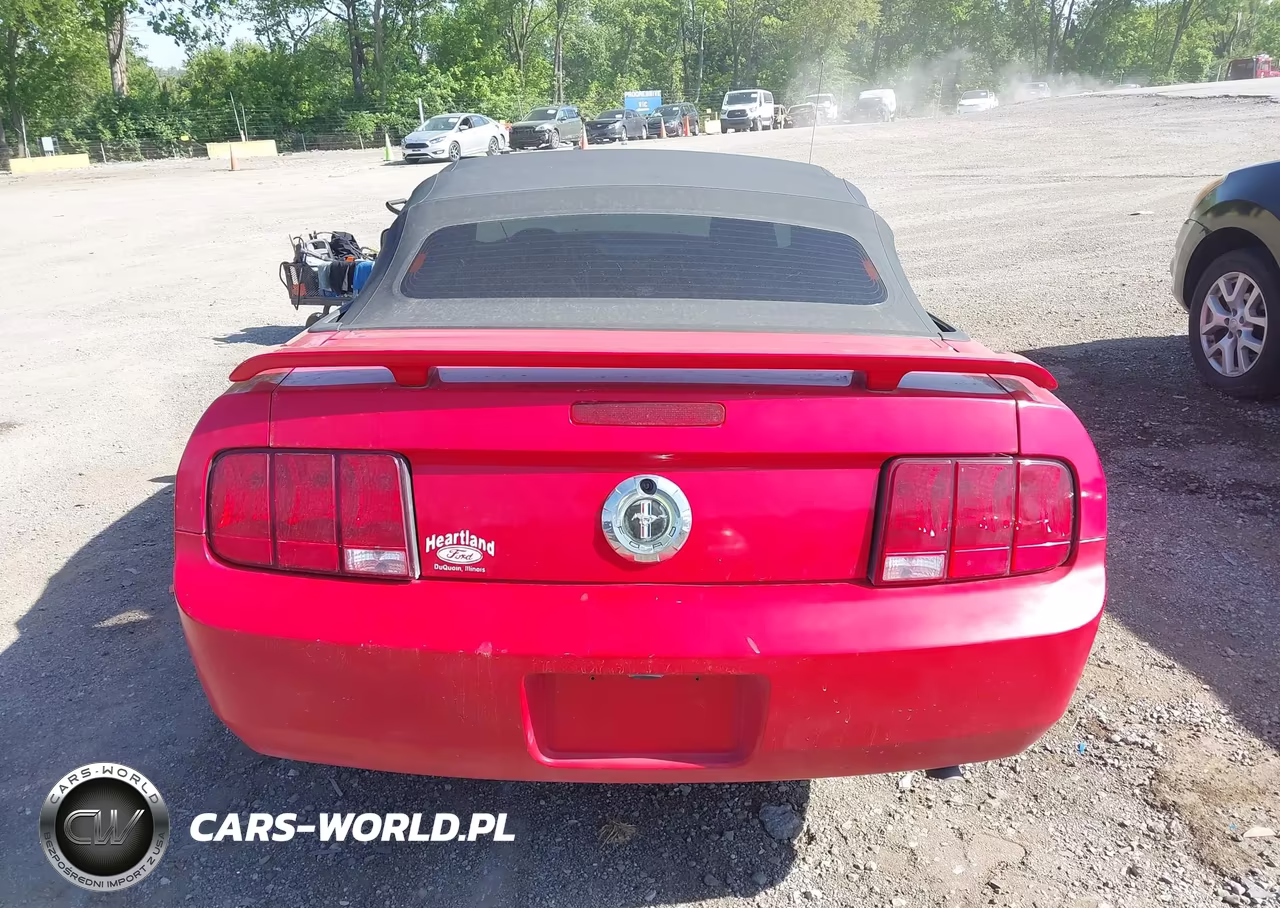 2005 Ford Mustang VIN:1ZVFT84N555211658 - 16