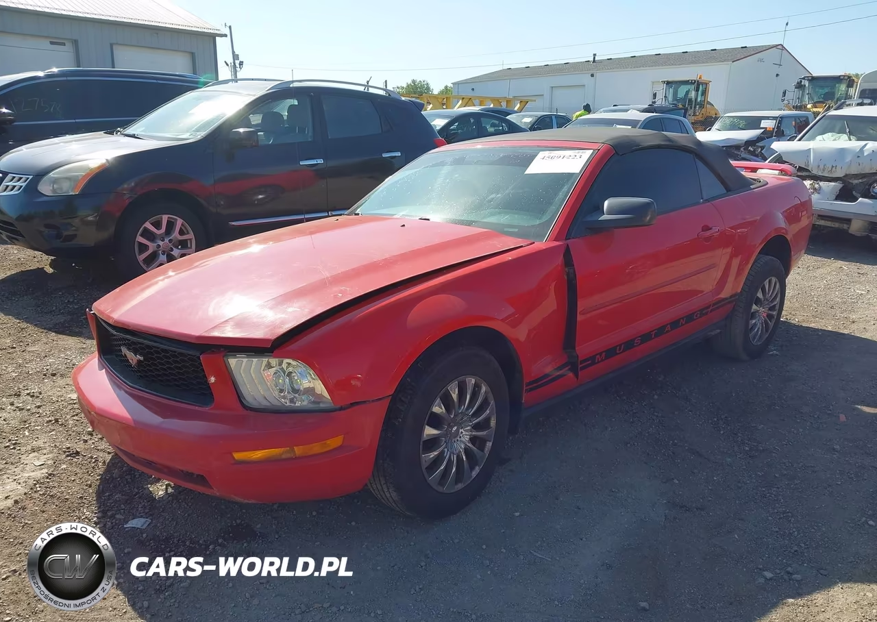 2005 Ford Mustang VIN:1ZVFT84N555211658 - 2