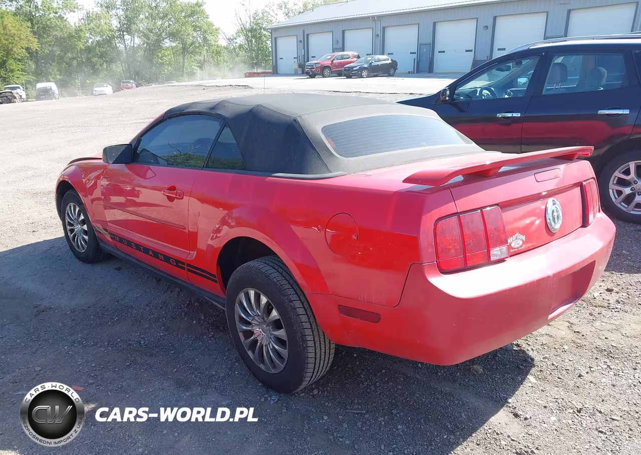 2005 Ford Mustang VIN:1ZVFT84N555211658 - 3