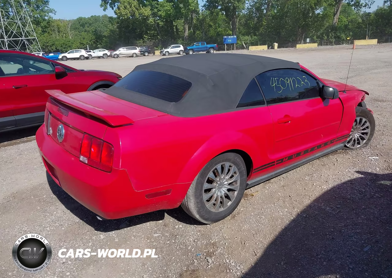2005 Ford Mustang VIN:1ZVFT84N555211658 - 4