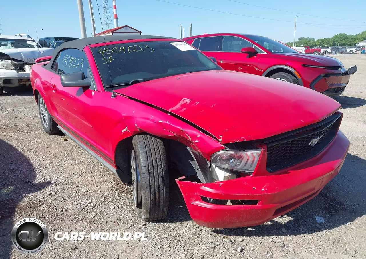 2005 Ford Mustang VIN:1ZVFT84N555211658 - 6