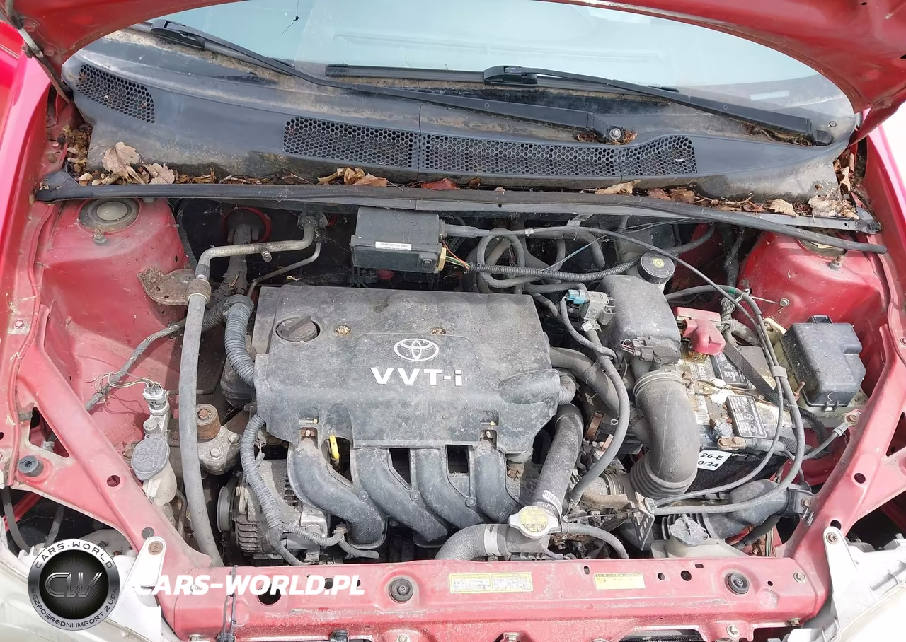 2002 Toyota Echo VIN:JTDBT123020205463 - 10