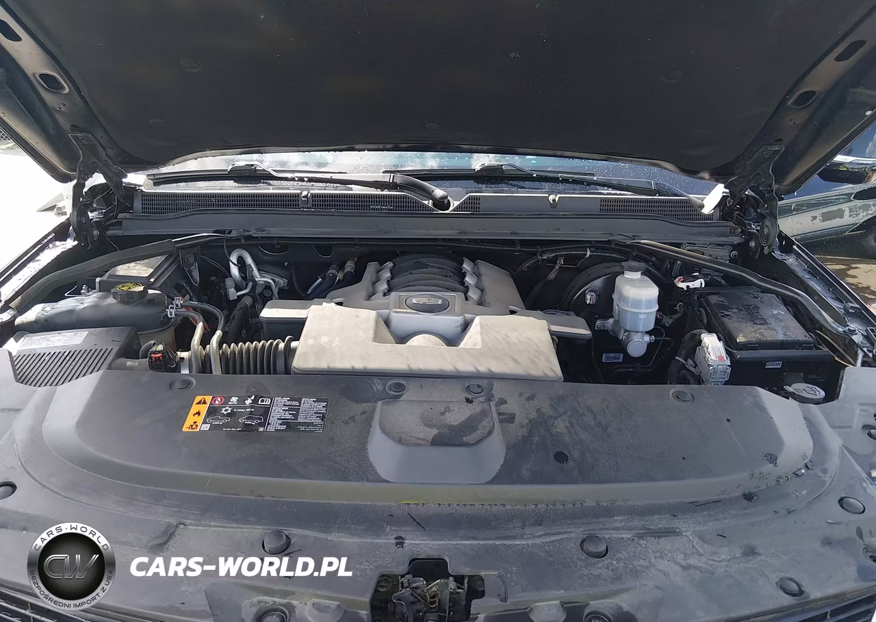 2020 Cadillac Escalade 4Wd Premium Luxury VIN:1GYS4CKJ9LR226326 - 10