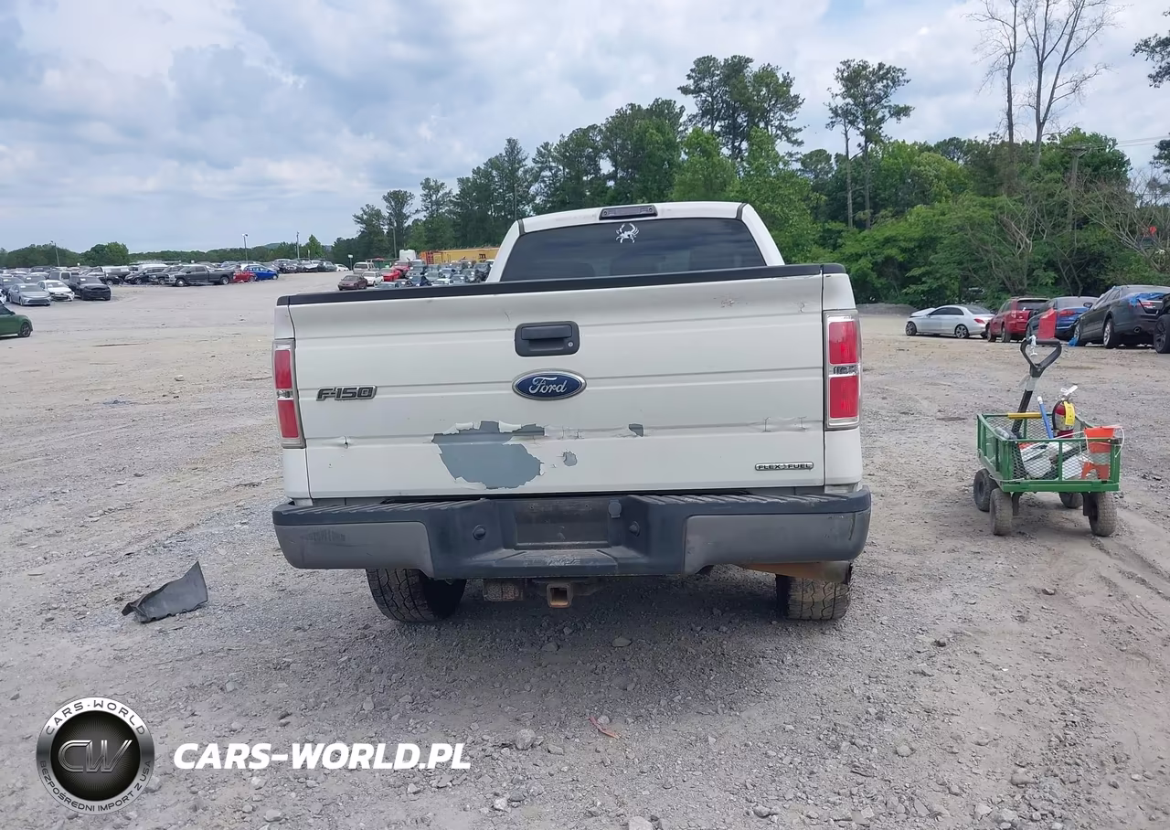 2011 Ford F-150 Xl VIN:1FTVX1CF2BKD12707 - 16