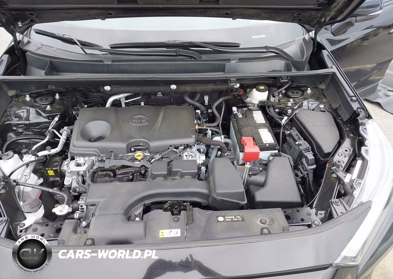 2025 Toyota Rav4 Xle VIN:2T3W1RFV8SC329544 - 10