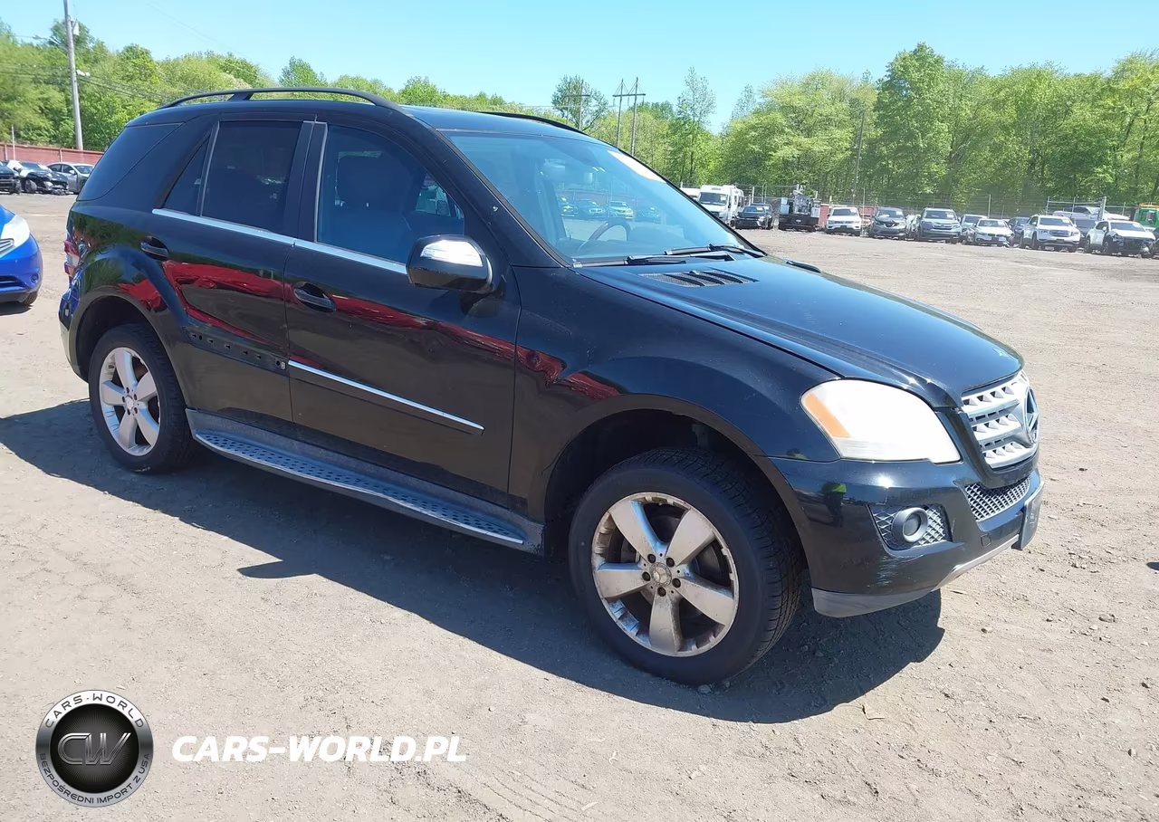 Główne zdjęcie 2010 Mercedes-Benz Ml 350 4Matic