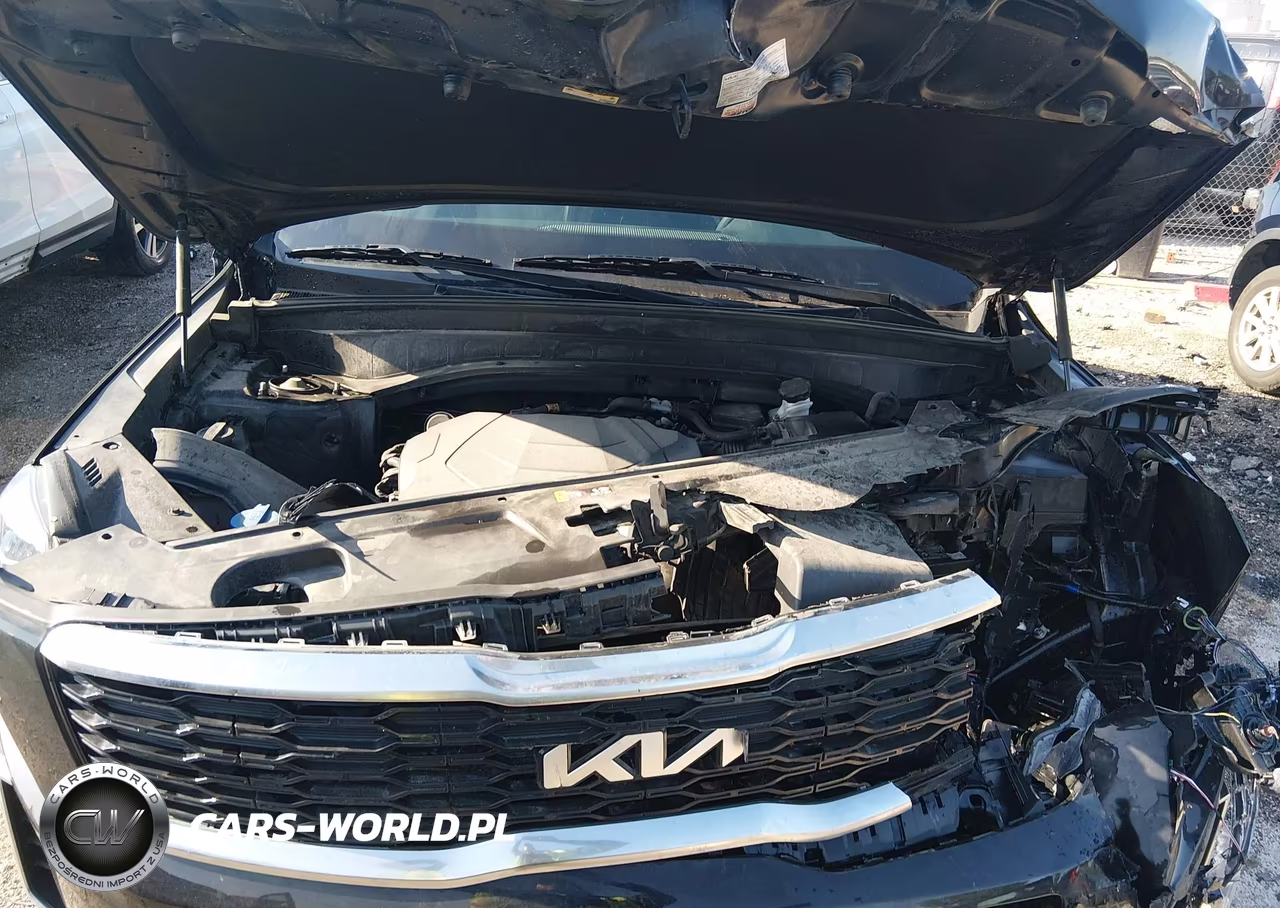 2022 Kia Telluride S VIN:5XYP64HC8NG229062 - 10