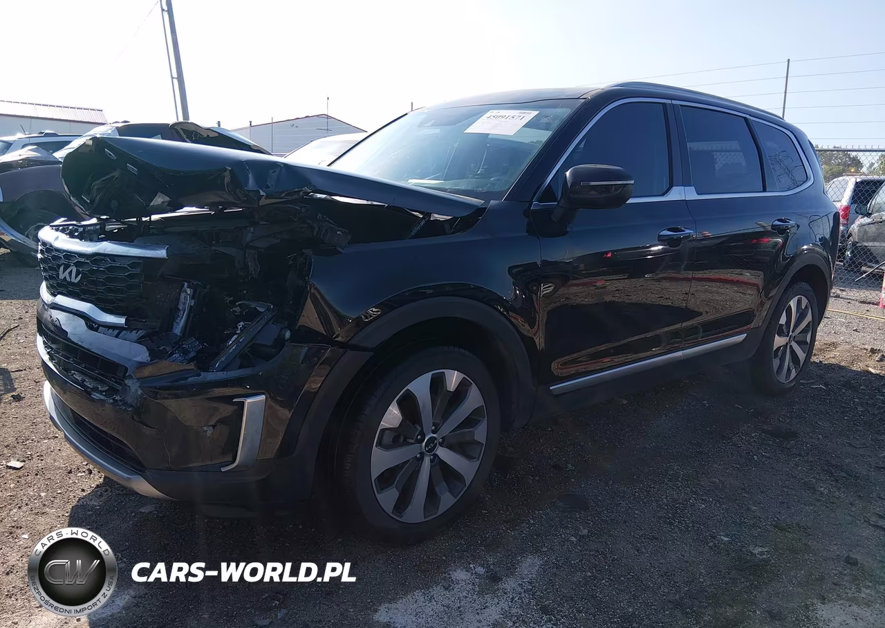 2022 Kia Telluride S VIN:5XYP64HC8NG229062 - 2